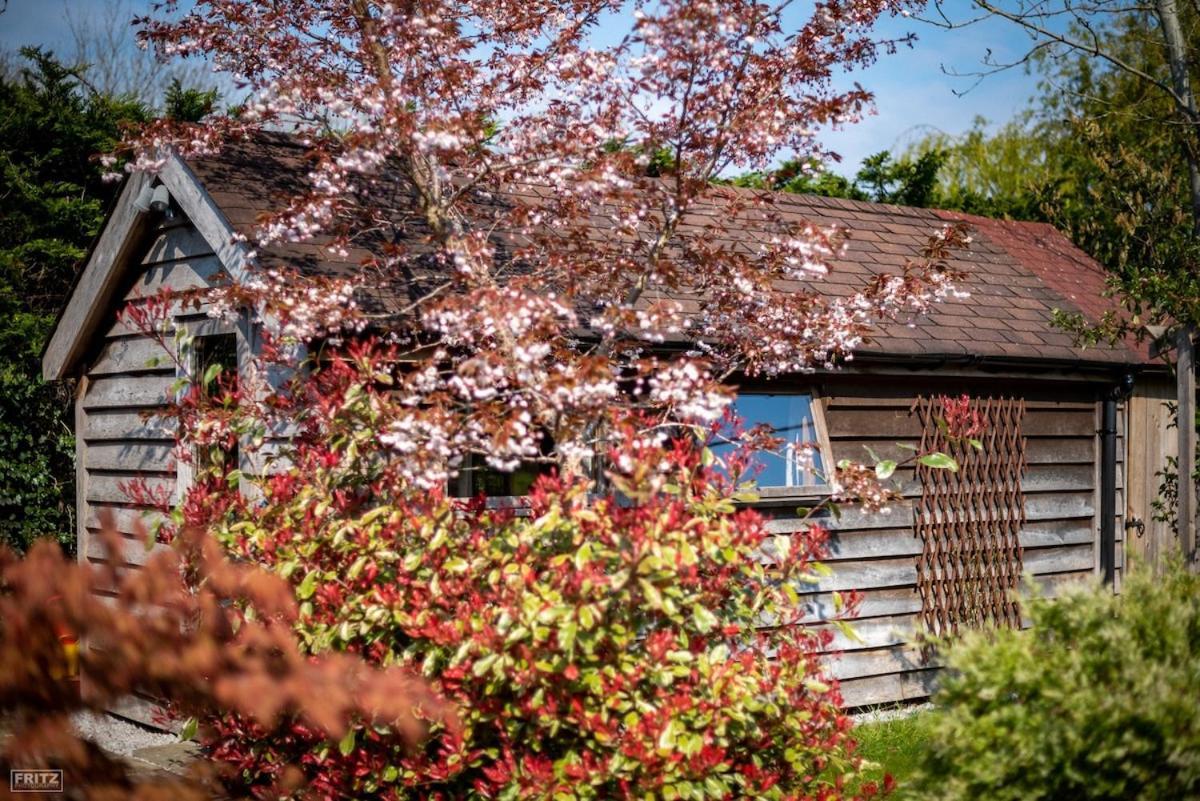 Villa The Tool Shed Nestled In Idyllic Countryside Linchmere Exterior foto